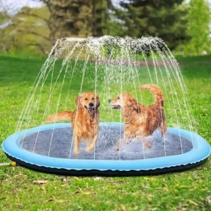 Parque Acuático para mascotas